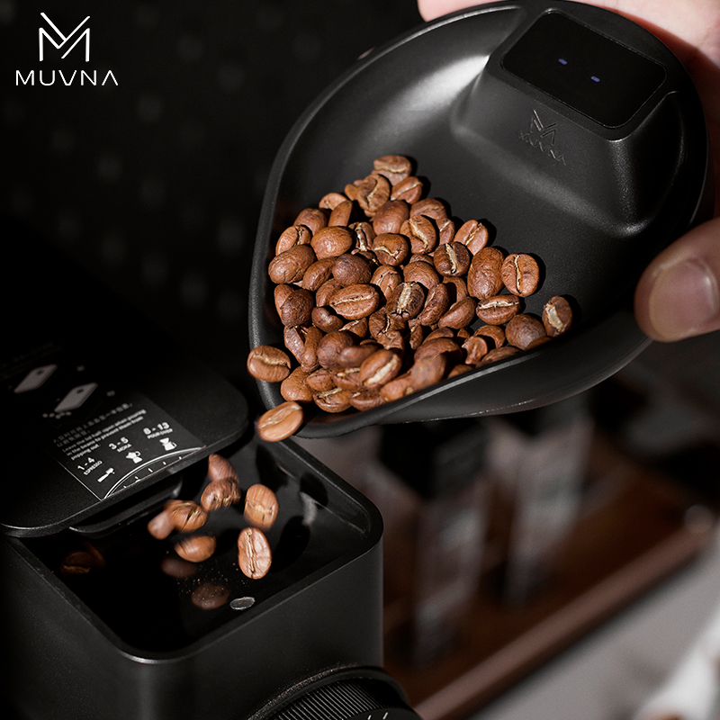 Coffee Bean Scale - Bilancia Digitale per Caffè MUVNA, Bilancia
